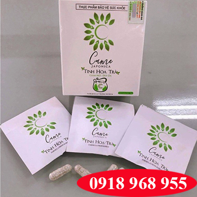 In túi trà giảm cân| baobimangghep.com
